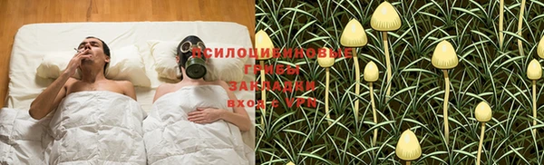 СК Куйбышев