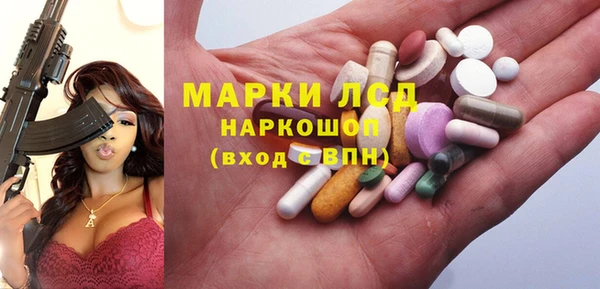 гидра Корсаков
