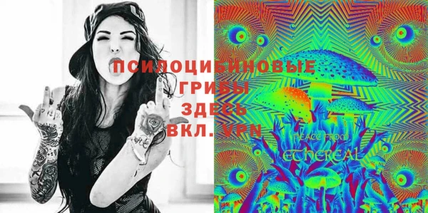 СК Куйбышев